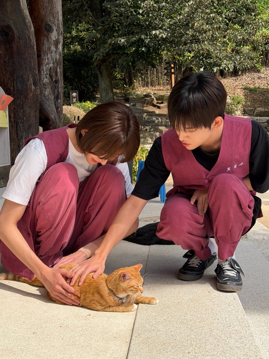 shhatoosus's tweet photo. 아니 씨갈 존나부럽내?
나도한번만 제발 https://t.co/cPgJatIZNX
