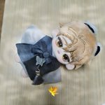 Photo by 몽몽 (@im_mongmong)