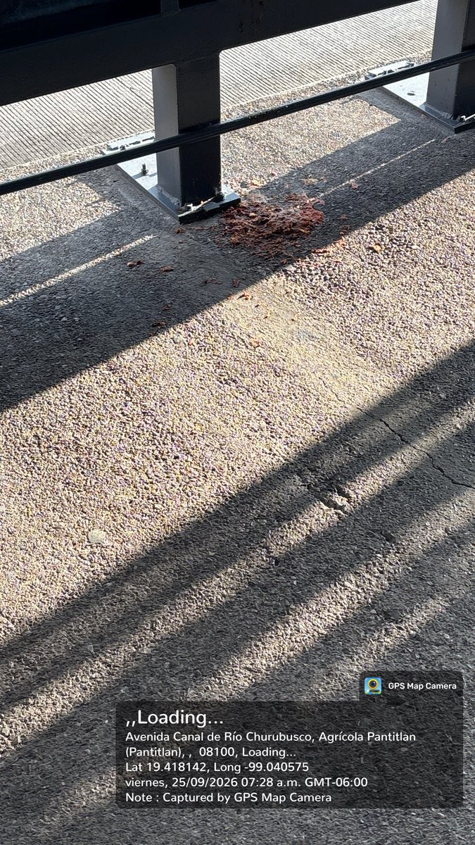 dirdup's tweet photo. @Mexibuslll estación Riva palacio dirección Pantitlan https://t.co/007eYTznM2