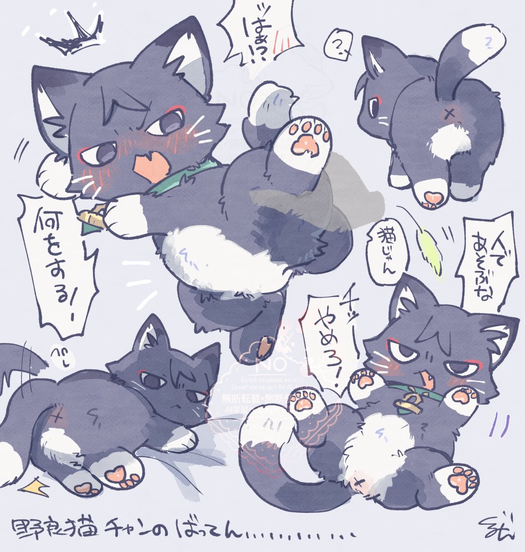 guruminn_M's tweet photo. 野良猫ﾁｬﾝのばってん.................................. https://t.co/jDgkDXfGPX