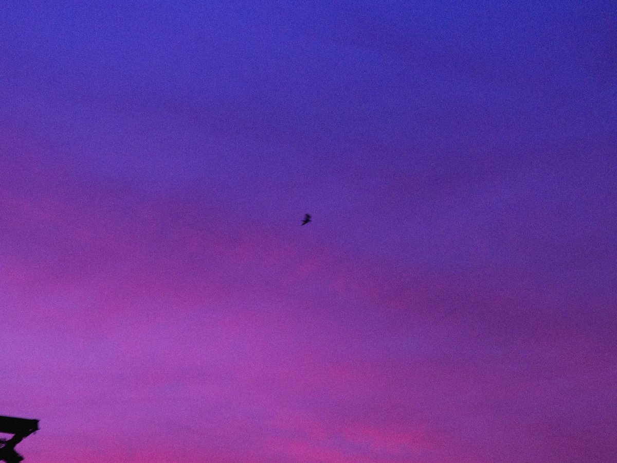 arthextic's tweet photo. september sky https://t.co/Ch8GmNvCk3