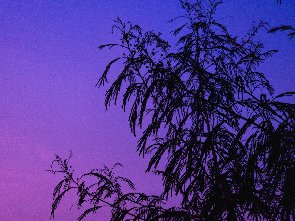 arthextic's tweet photo. september sky https://t.co/Ch8GmNvCk3
