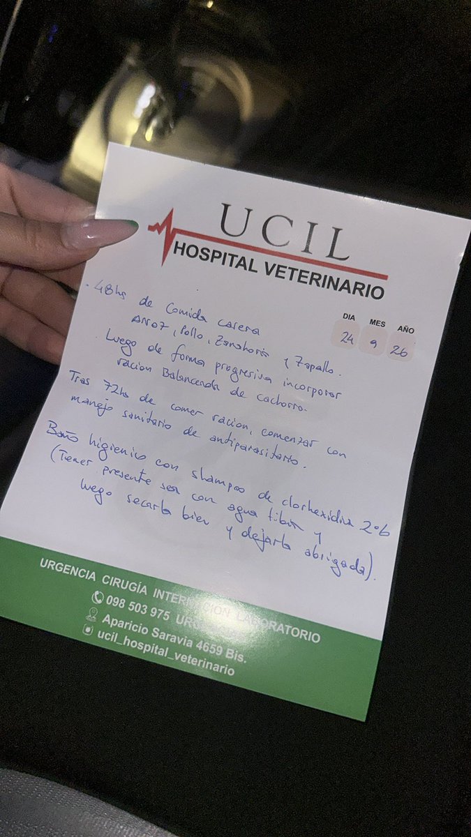 redbicheraof's tweet photo. SOLEDAD NECESITA DE TODOS
A Soledad le indicaron alimento casero durante las primeras 72 horas y jabón de clorhexidina como parte de sus cuidados.
Cualquier ayuda suma muchísimo. 🙏 Sabemos que es fin de mes, pero $10, https://t.co/kOCd26WNtv