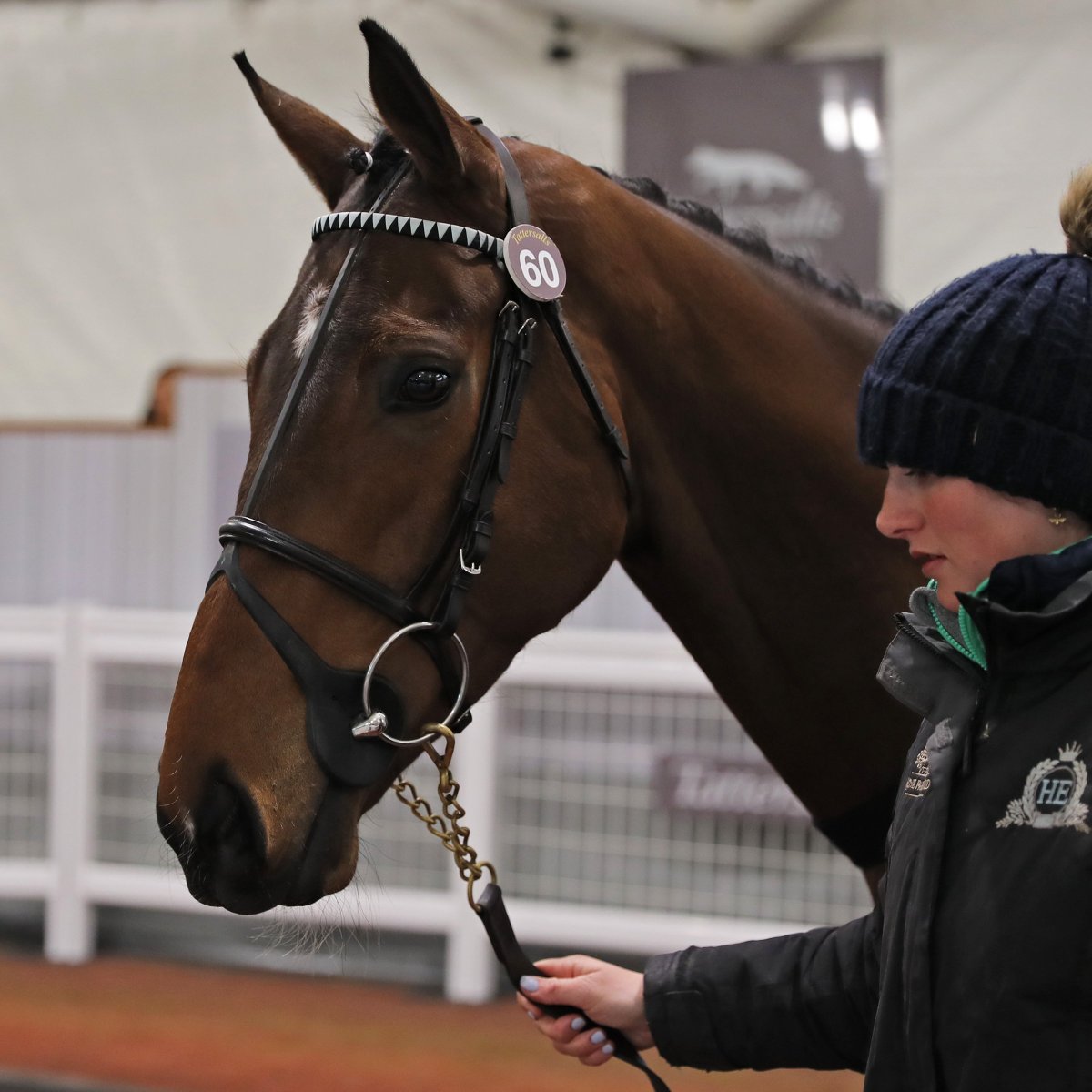 TattsCheltenham's tweet photo. Summer Chase Final 🥇🥈 #cheltenhamgrads 💥💥

The @billyapro1-trained Pep Talking leads home Youdecide in the @arenaracingco Chase Final @WorcesterRaces  to pick up £26,015 cheque

Pep Talking 🟤🟠
#CheltenhamApril 2024
@GandTRacing ➡️ @Doyle_Racing, £54,000

Youdecide 🔴🔵⚪️
#CheltenhamFebruary 2024
@SuirviewStables ➡️ @JerrymcGrath / @benpauling1, £90,000