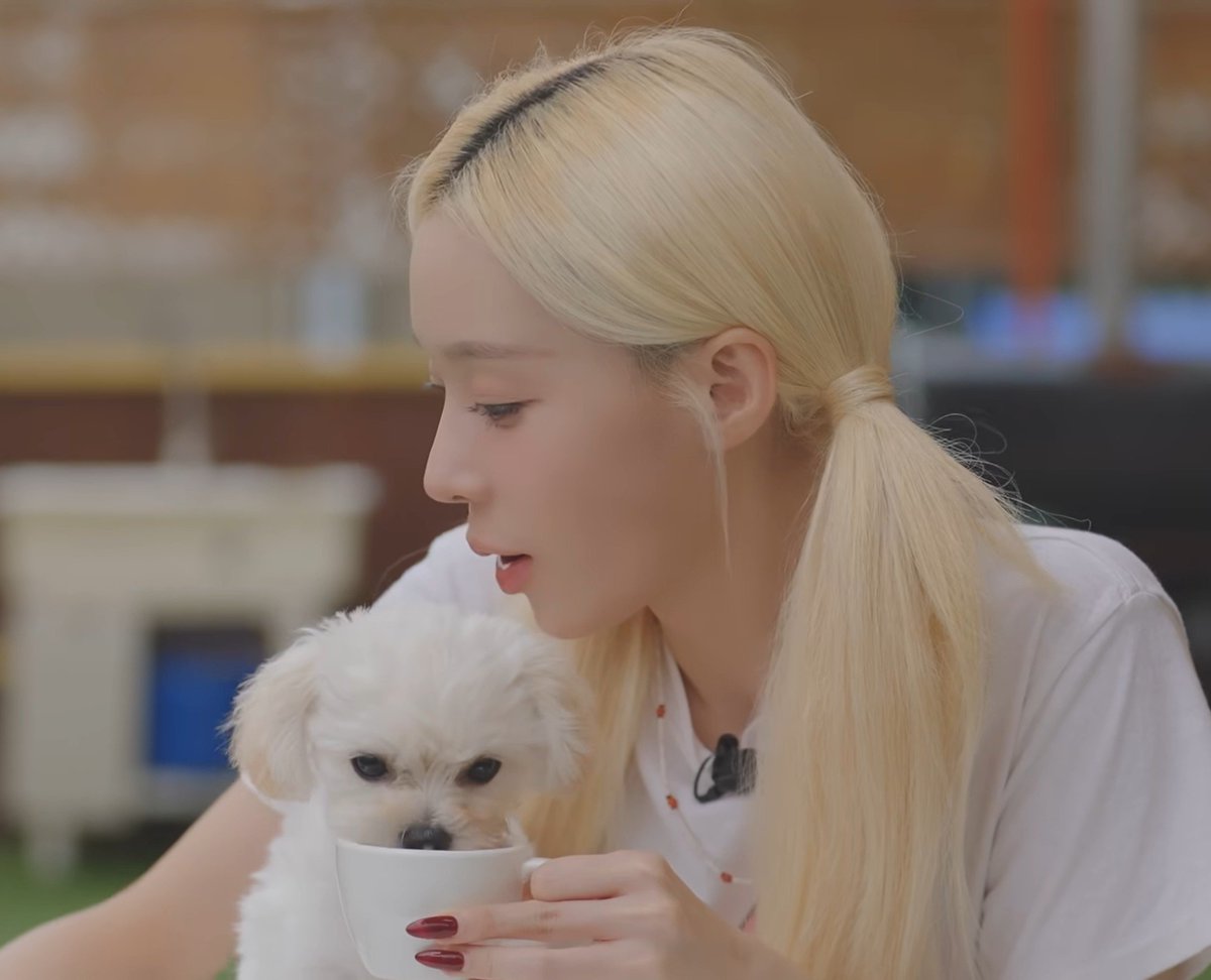 MY0512LOVE's tweet photo. 귀여워 ㅠㅠㅠㅠㅠㅠㅠㅠㅠㅠㅠㅠㅠㅠㅠㅠ https://t.co/WRPyFrBfD3