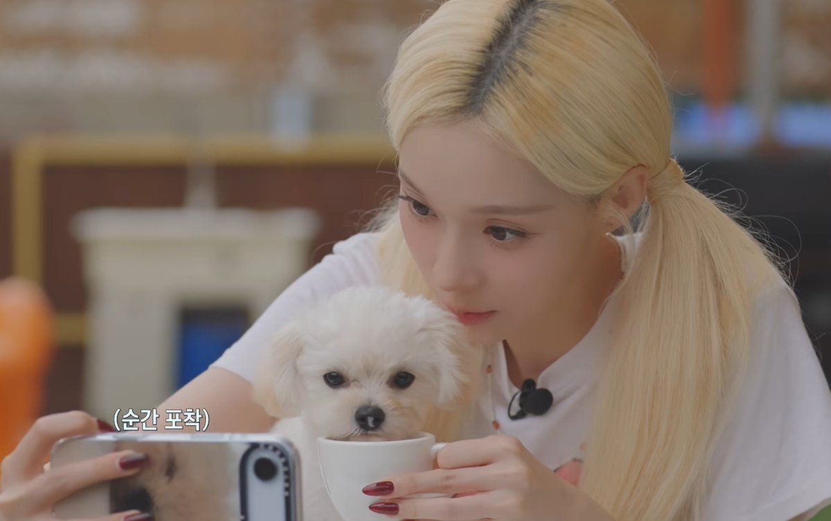 MY0512LOVE's tweet photo. 귀여워 ㅠㅠㅠㅠㅠㅠㅠㅠㅠㅠㅠㅠㅠㅠㅠㅠ https://t.co/WRPyFrBfD3
