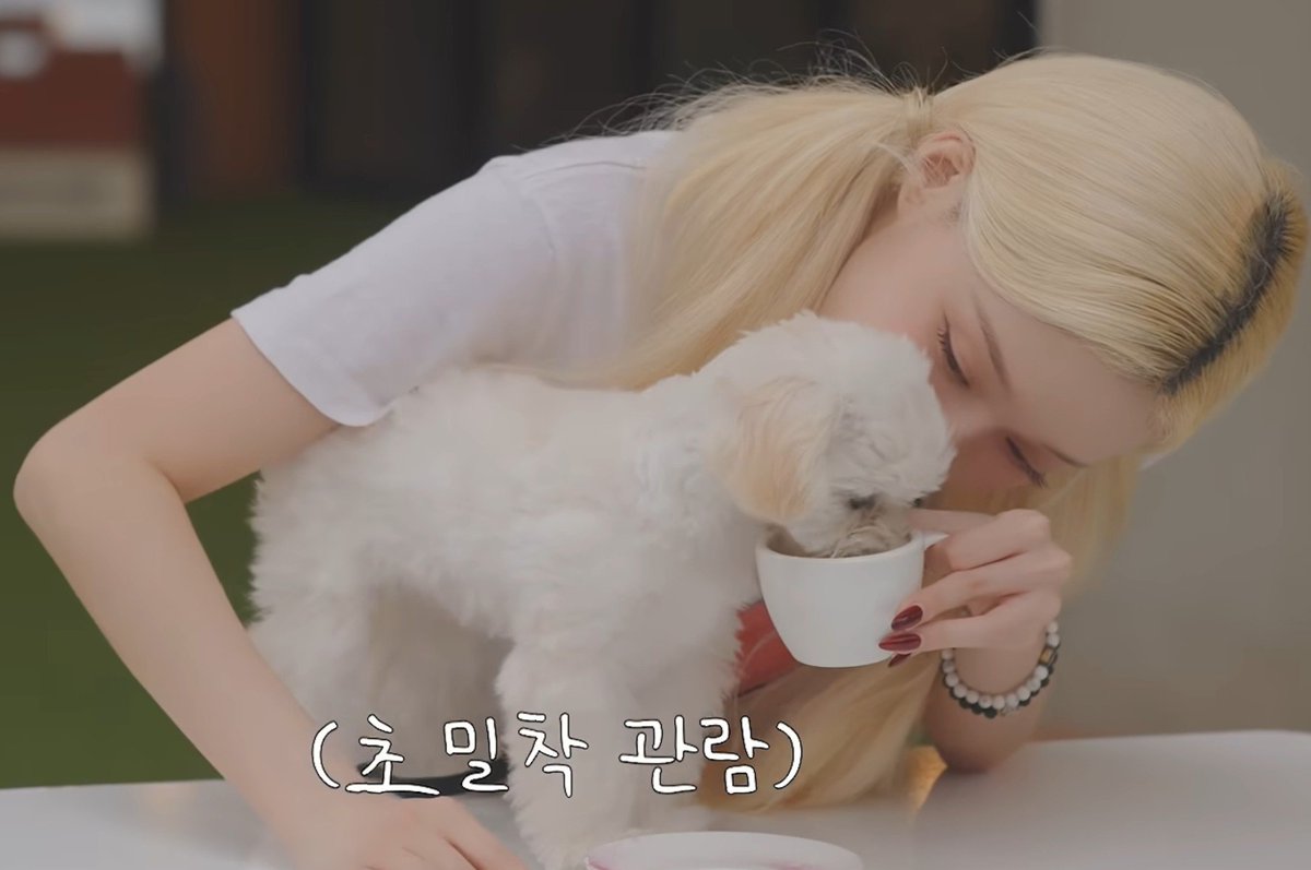 MY0512LOVE's tweet photo. 귀여워 ㅠㅠㅠㅠㅠㅠㅠㅠㅠㅠㅠㅠㅠㅠㅠㅠ https://t.co/WRPyFrBfD3