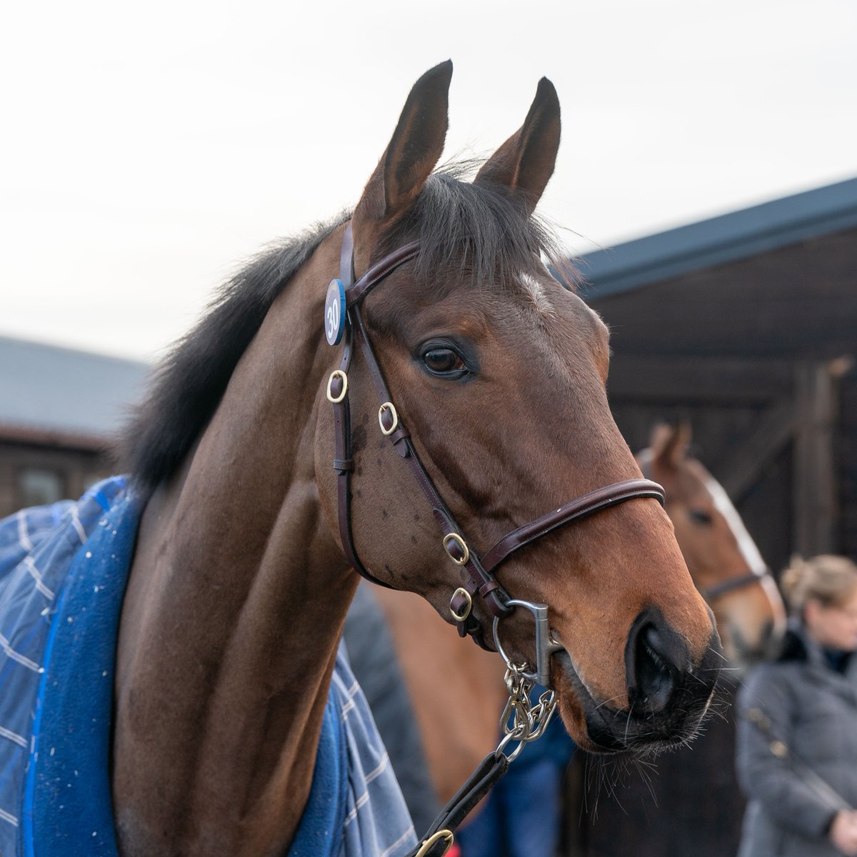 TattsCheltenham's tweet photo. Summer Chase Final 🥇🥈 #cheltenhamgrads 💥💥

The @billyapro1-trained Pep Talking leads home Youdecide in the @arenaracingco Chase Final @WorcesterRaces  to pick up £26,015 cheque

Pep Talking 🟤🟠
#CheltenhamApril 2024
@GandTRacing ➡️ @Doyle_Racing, £54,000

Youdecide 🔴🔵⚪️
#CheltenhamFebruary 2024
@SuirviewStables ➡️ @JerrymcGrath / @benpauling1, £90,000