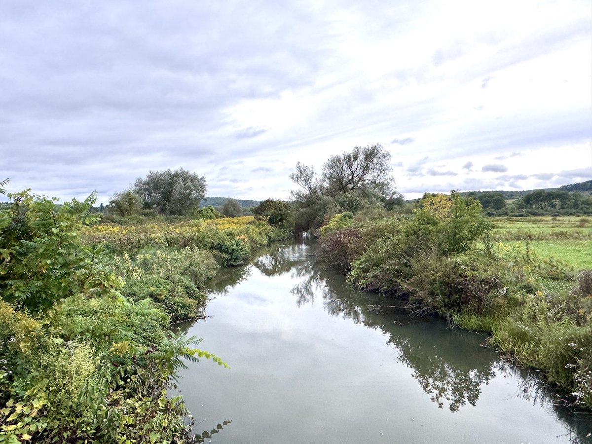 NYLandQuest's tweet photo. 29 acres FARMLAND and Recreational Land on Black Creek in New Hudson NY.  Perfect for a homesite, recreational property, agricultural use. Open land with tillable soil.  Black Creek is stocked annually with trout.  $78,900.  https://t.co/9WU0Wr5Vs4 @NYLandQuest #farmland #fishing https://t.co/1Nhwq6aaeI