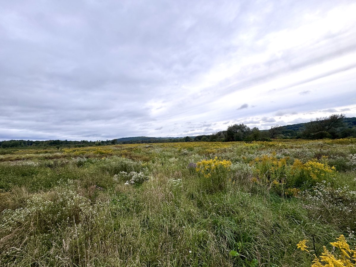 NYLandQuest's tweet photo. 29 acres FARMLAND and Recreational Land on Black Creek in New Hudson NY.  Perfect for a homesite, recreational property, agricultural use. Open land with tillable soil.  Black Creek is stocked annually with trout.  $78,900.  https://t.co/9WU0Wr5Vs4 @NYLandQuest #farmland #fishing https://t.co/1Nhwq6aaeI