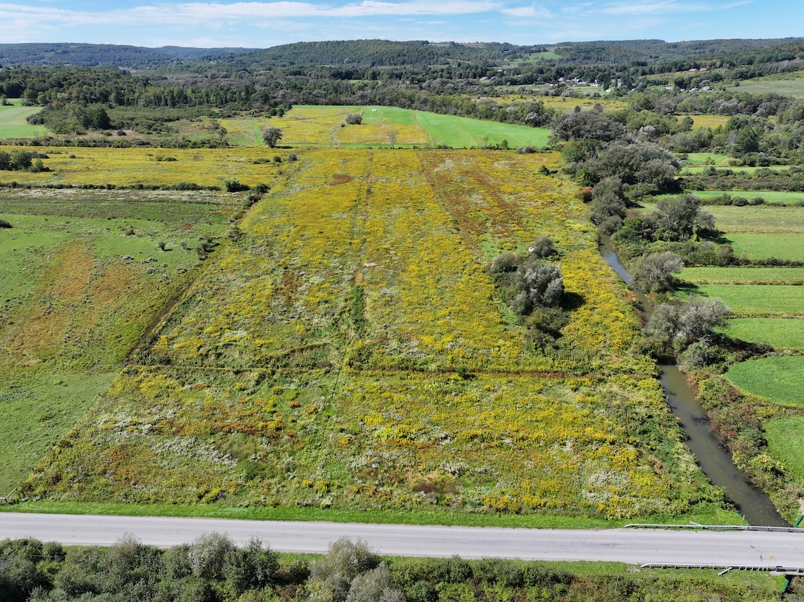 NYLandQuest's tweet photo. 29 acres FARMLAND and Recreational Land on Black Creek in New Hudson NY.  Perfect for a homesite, recreational property, agricultural use. Open land with tillable soil.  Black Creek is stocked annually with trout.  $78,900.  https://t.co/9WU0Wr5Vs4 @NYLandQuest #farmland #fishing https://t.co/1Nhwq6aaeI
