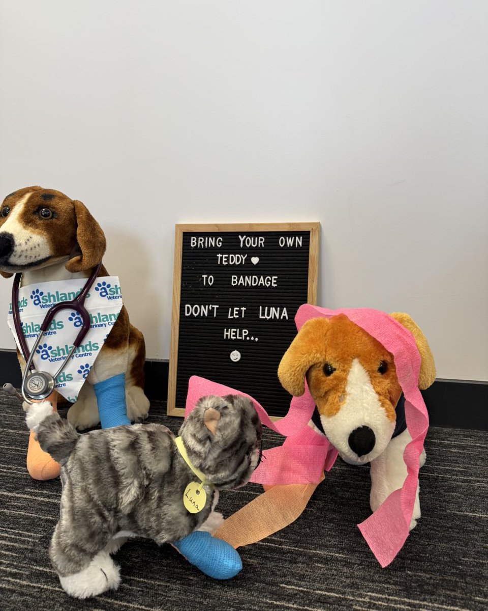 KizzyEastep7's tweet photo. Enjoy exciting activities at our Ilkley Open Day
Bring your teddy for bandaging, visit the dog bar, dress up as a vet, and enjoy colourful face painting. There’s fun for everyone! https://t.co/U0ZUR3Mdej