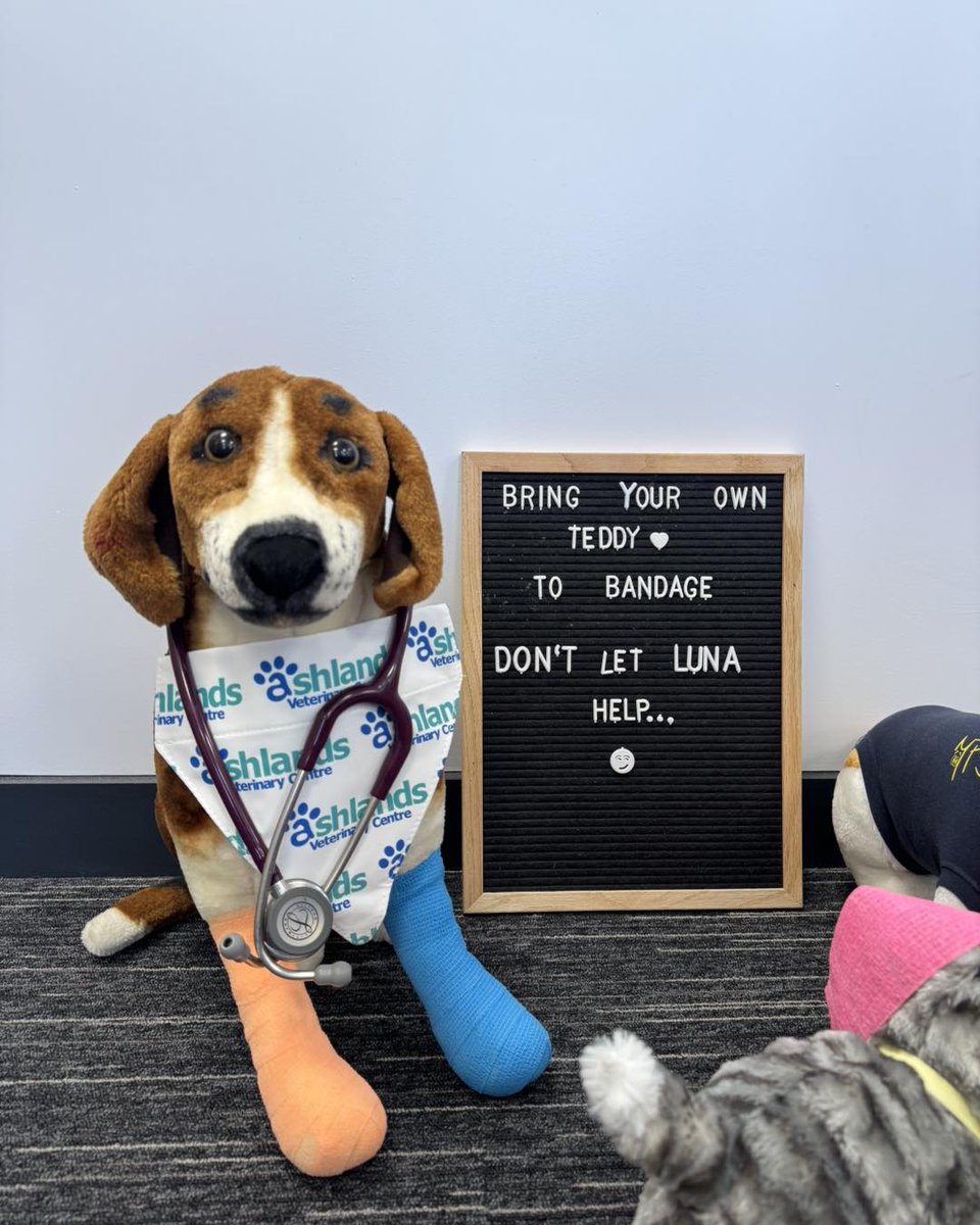 KizzyEastep7's tweet photo. Enjoy exciting activities at our Ilkley Open Day
Bring your teddy for bandaging, visit the dog bar, dress up as a vet, and enjoy colourful face painting. There’s fun for everyone! https://t.co/U0ZUR3Mdej