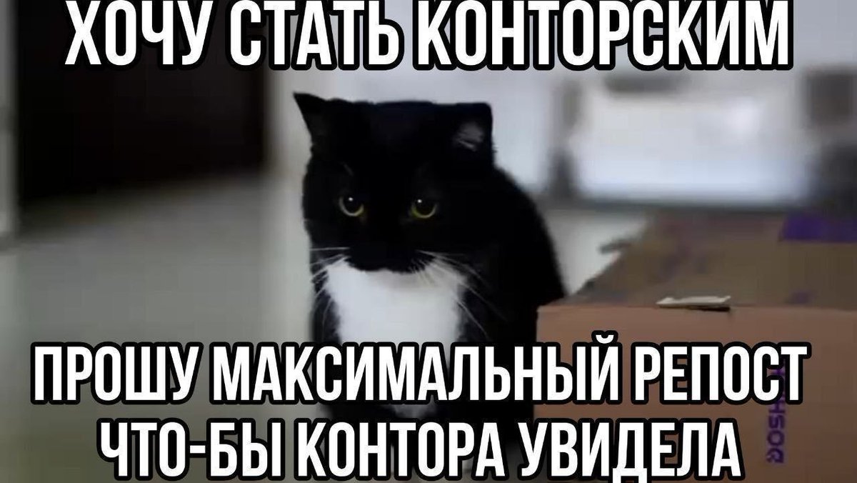 RtWuFrU's tweet photo. @The_Observer00X Где бы тоже трудоустроиться в "писать шизовую хуйню в интернете за деньги"? https://t.co/1c8gjQqvWy