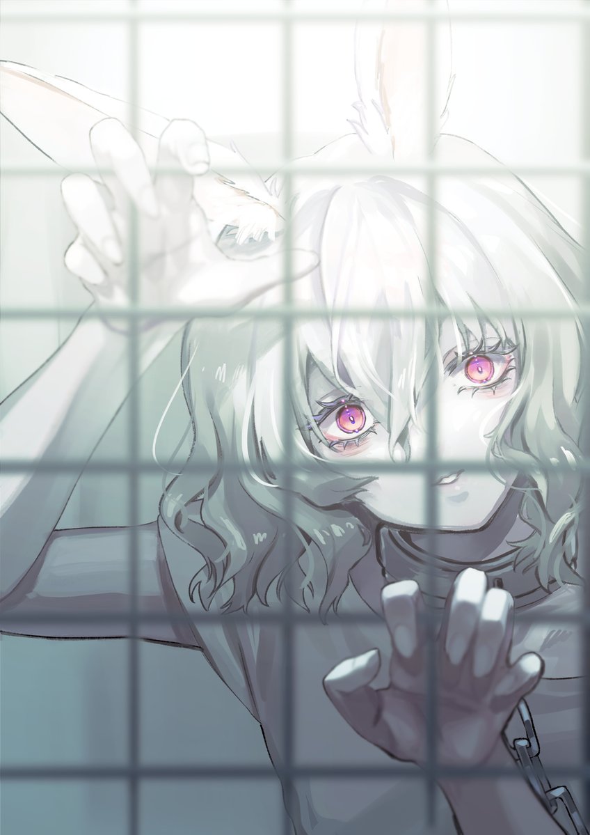 mgr1219's tweet photo. 白兎は逃げない https://t.co/H3IQCJzePJ