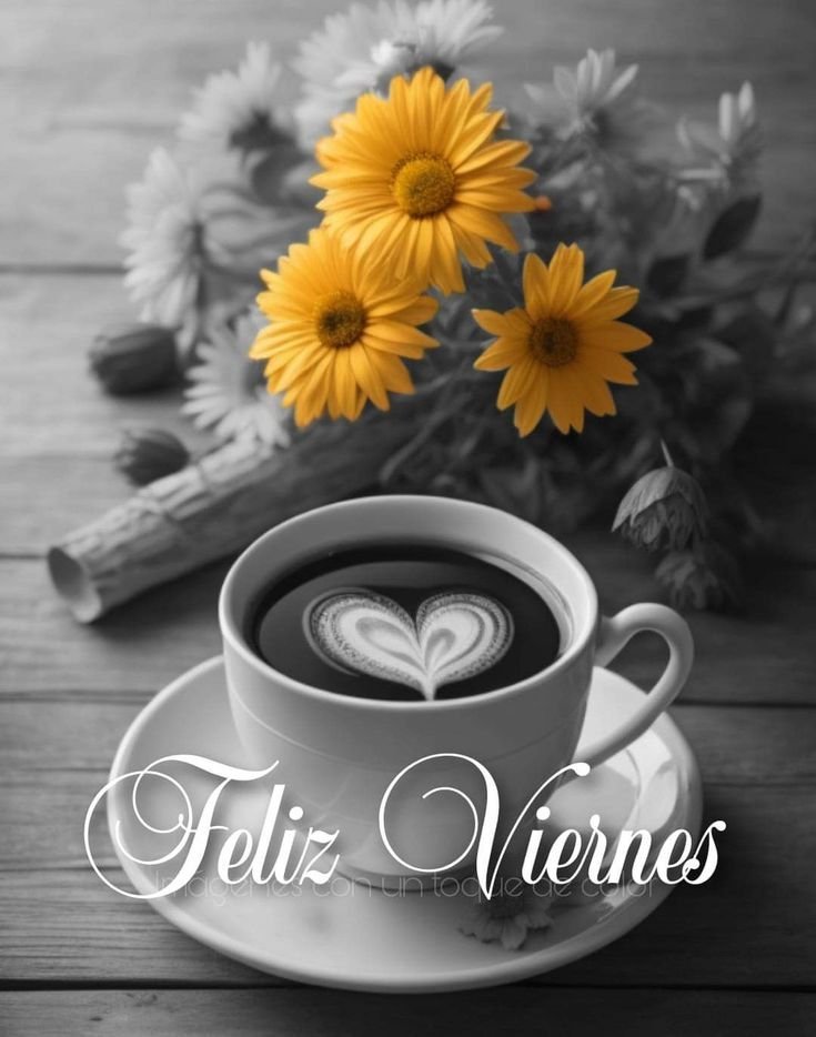 mujer_defe's tweet photo. ¡Nada como saborear la palabra!
El salmo 119 es una delicia, lee este bocadito: "He deseado tu salvación, oh Jehová,

Y tu ley es mi delicia.

175 Viva mi alma y te alabe,

Y tus juicios me ayuden.

176 Yo anduve errante como oveja extraviada; busca a tu siervo, (...) https://t.co/b6MBfln9U0