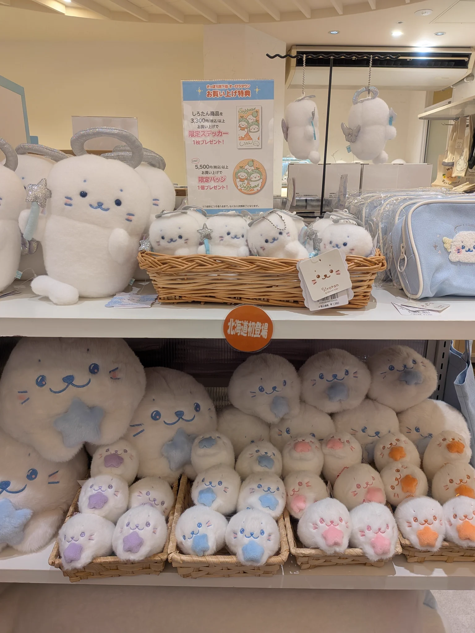しろたんふんわりストアに行ってきたよ② いろんなシリーズのしろたん