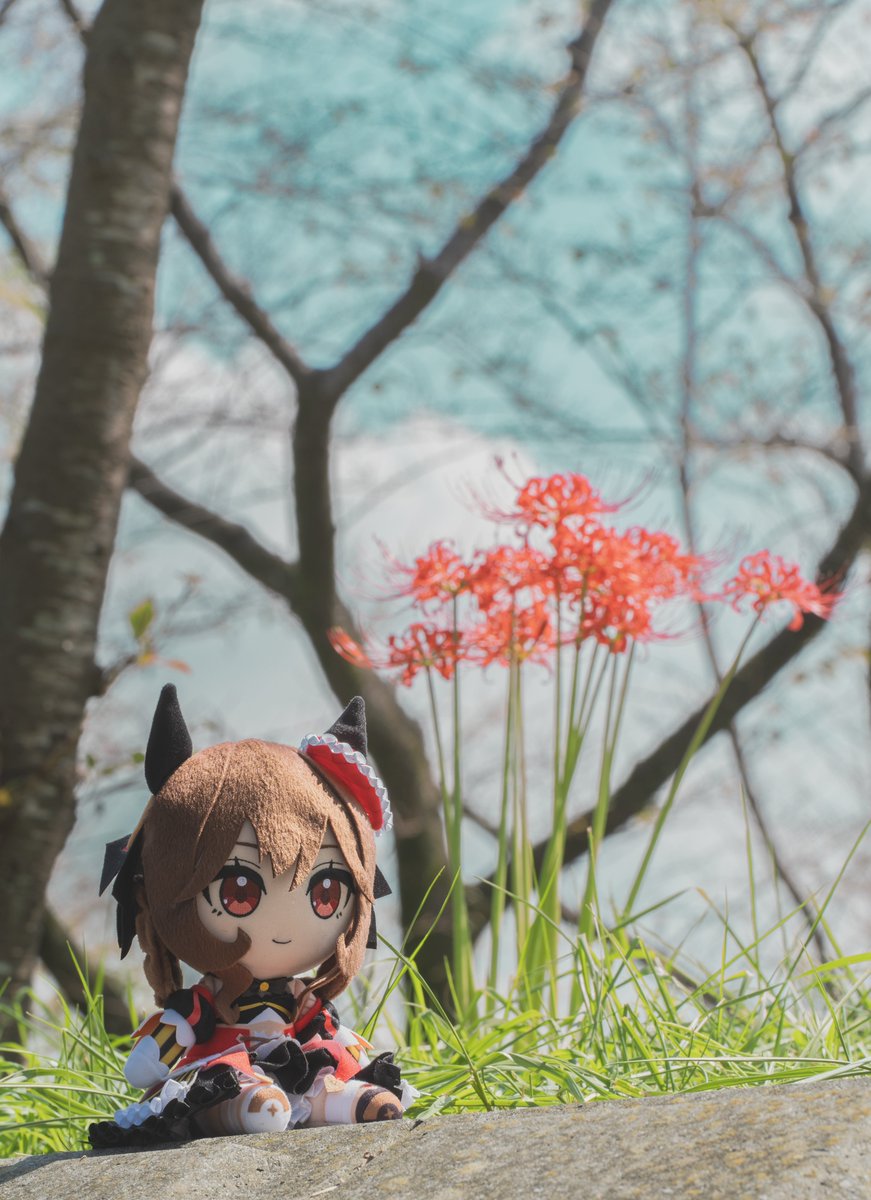 mild0520's tweet photo. ジェンティルドンナかわいい✨ 
#ウマ娘ぬい活 
#彼岸花 https://t.co/8wmvXeahLM
