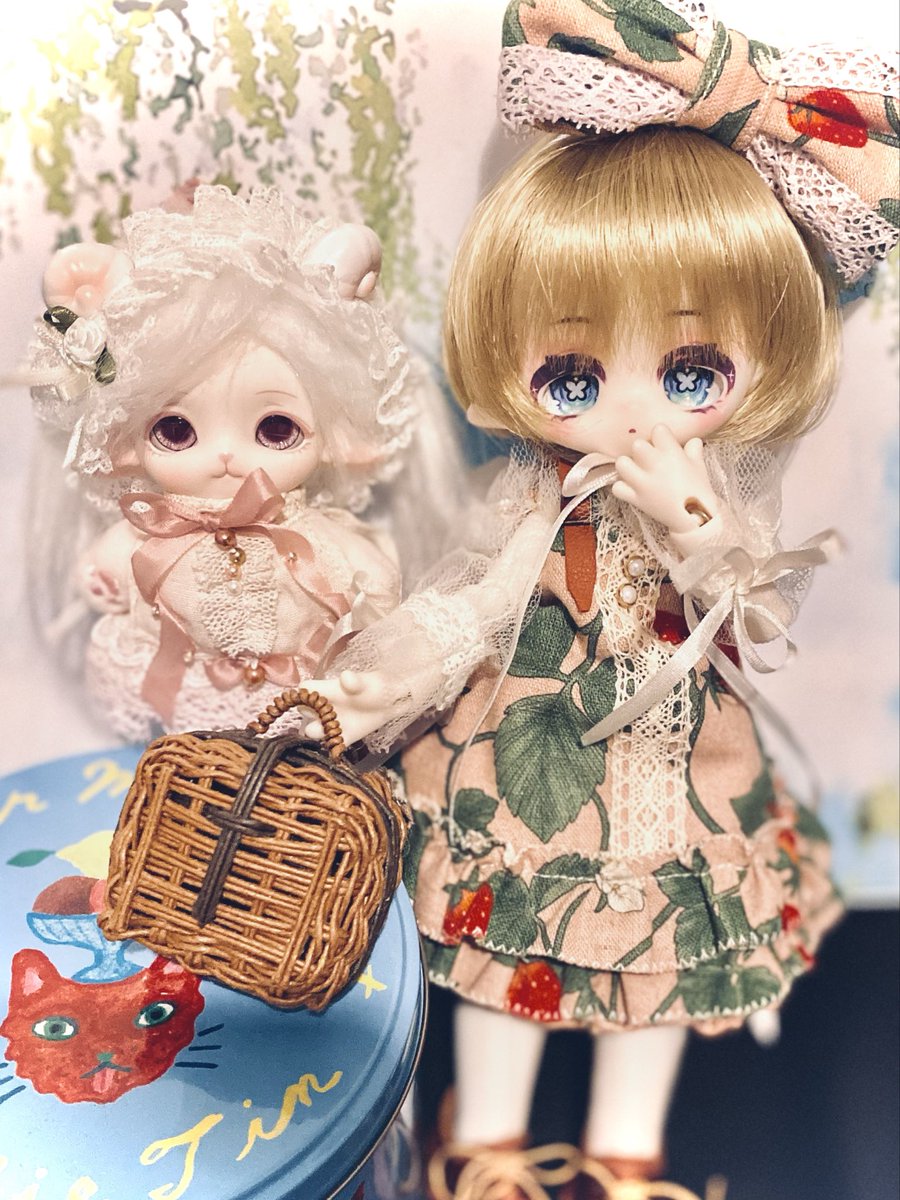 HBCocoon's tweet photo. 髪短いのも可愛いかわいい♡

明日またトランクか、新しいかごバッグ
もしくは刺繍糸で作る立体のお花作ってみよ✨️

 #モフモフおやすみ 
#おやすみなさいの前にドールの写真を1枚貼ろう https://t.co/eLBiuLo1qG