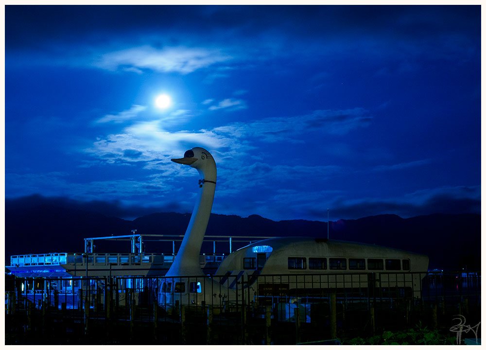 nagatsueeso's tweet photo. 『月夜に佇む』
#omdem1markii #月 #夜 #白鳥型遊覧船 #湖 #湖畔 #十五夜 #静かな夜 #夜景 #おやすみ #長野県 #諏訪市 #諏訪湖 #聴覚障害者 #OLYMPUS https://t.co/rvryibPD0N