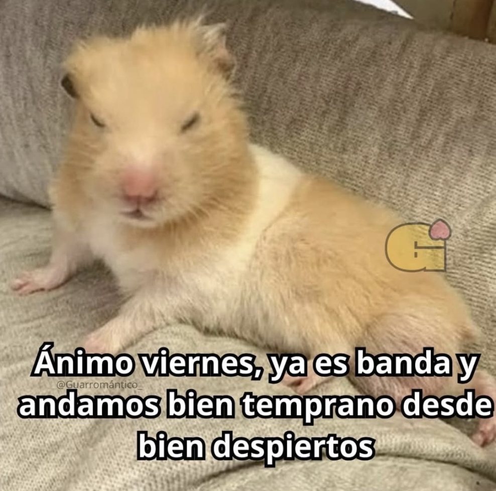 Guarromantico_'s tweet photo. Ánimo. https://t.co/9FzYW3J9f7
