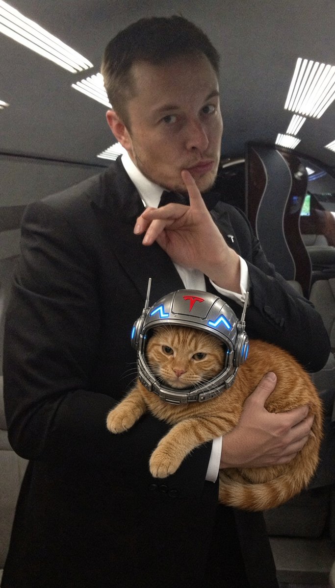 SirX_SNS's tweet photo. K-itty
E-lon
T-esla

@elonmusk https://t.co/rqIEEeiXjt