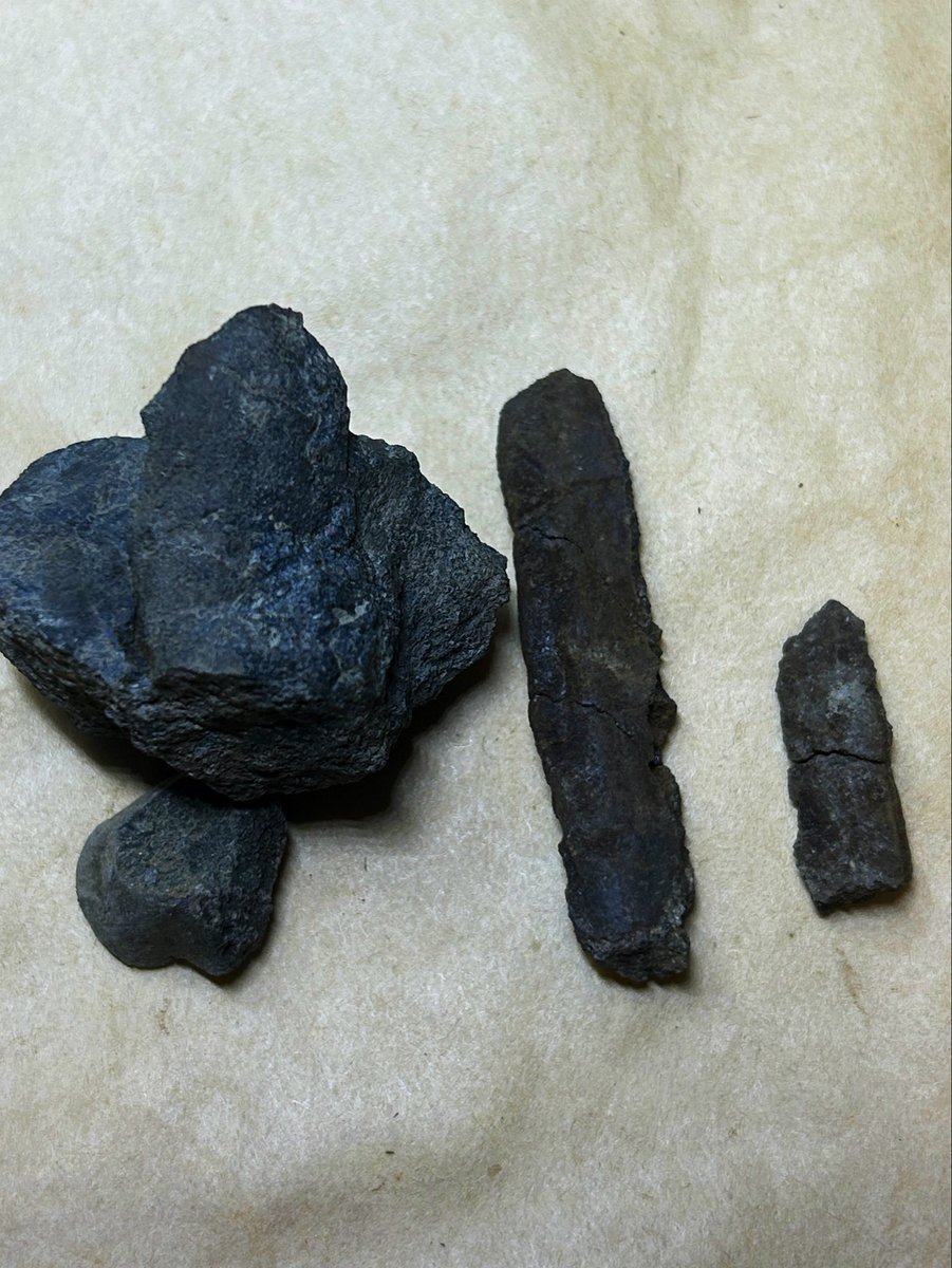 kansai_minerals's tweet photo. 紀伊半島の白亜紀層にて化石採集。
  
現場で母岩を割っていくと、キヌタレガイや二枚貝、そしてアンモナイトと思われる面白いサンプルが出てきてくれました。
  
白亜紀の海の浪漫が詰まった多様な化石群が揃いました。

#関西鉱物採集研究室 #化石採集 #化石 #白亜紀 #フィールドワーク https://t.co/GdUaoDmkoj