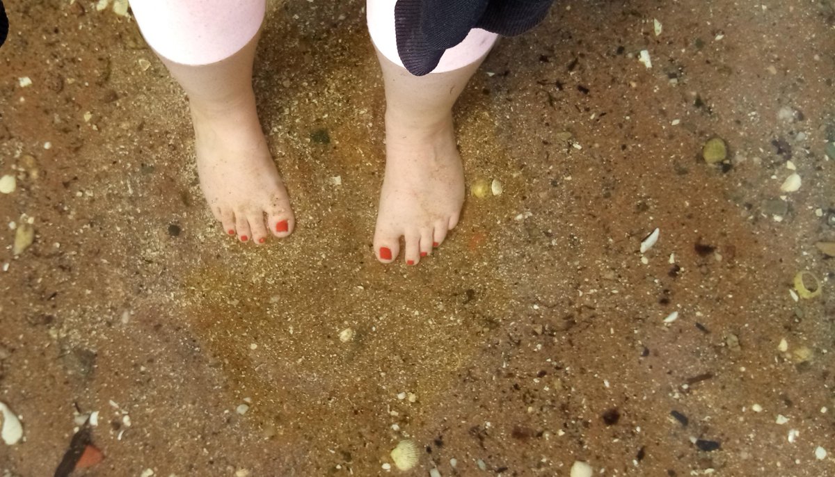 kat_aplana's tweet photo. come on, the water's fine 🦭 https://t.co/yXBwBIPRdr