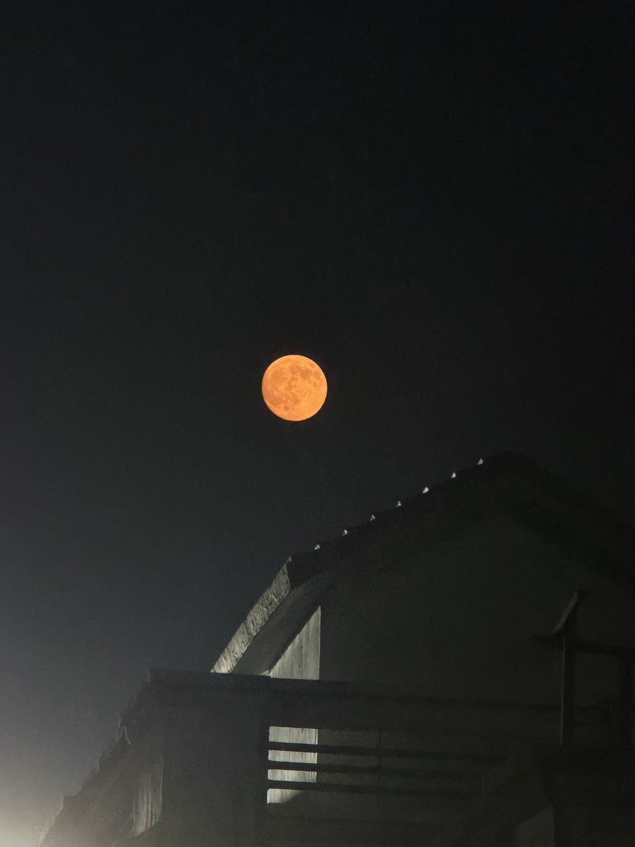 Vanyaoo7's tweet photo. Just the moon https://t.co/NpPye7GZhc