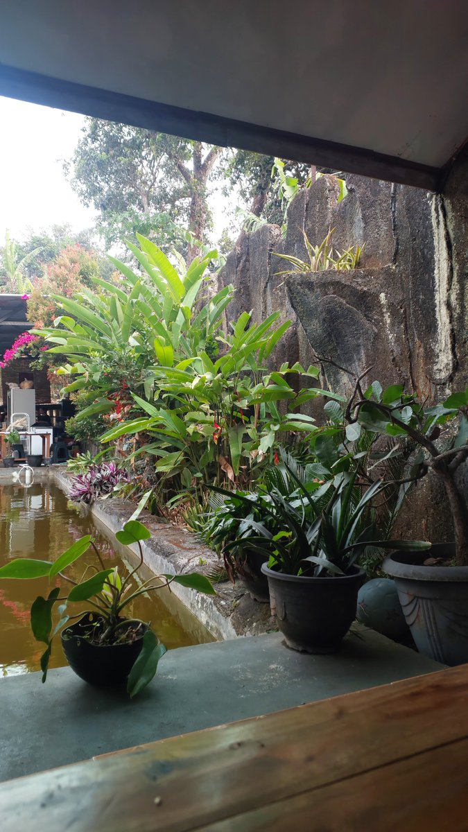 aseplesmana21's tweet photo. View dgn Istri setelah plg kerja https://t.co/vxoJJnONgP