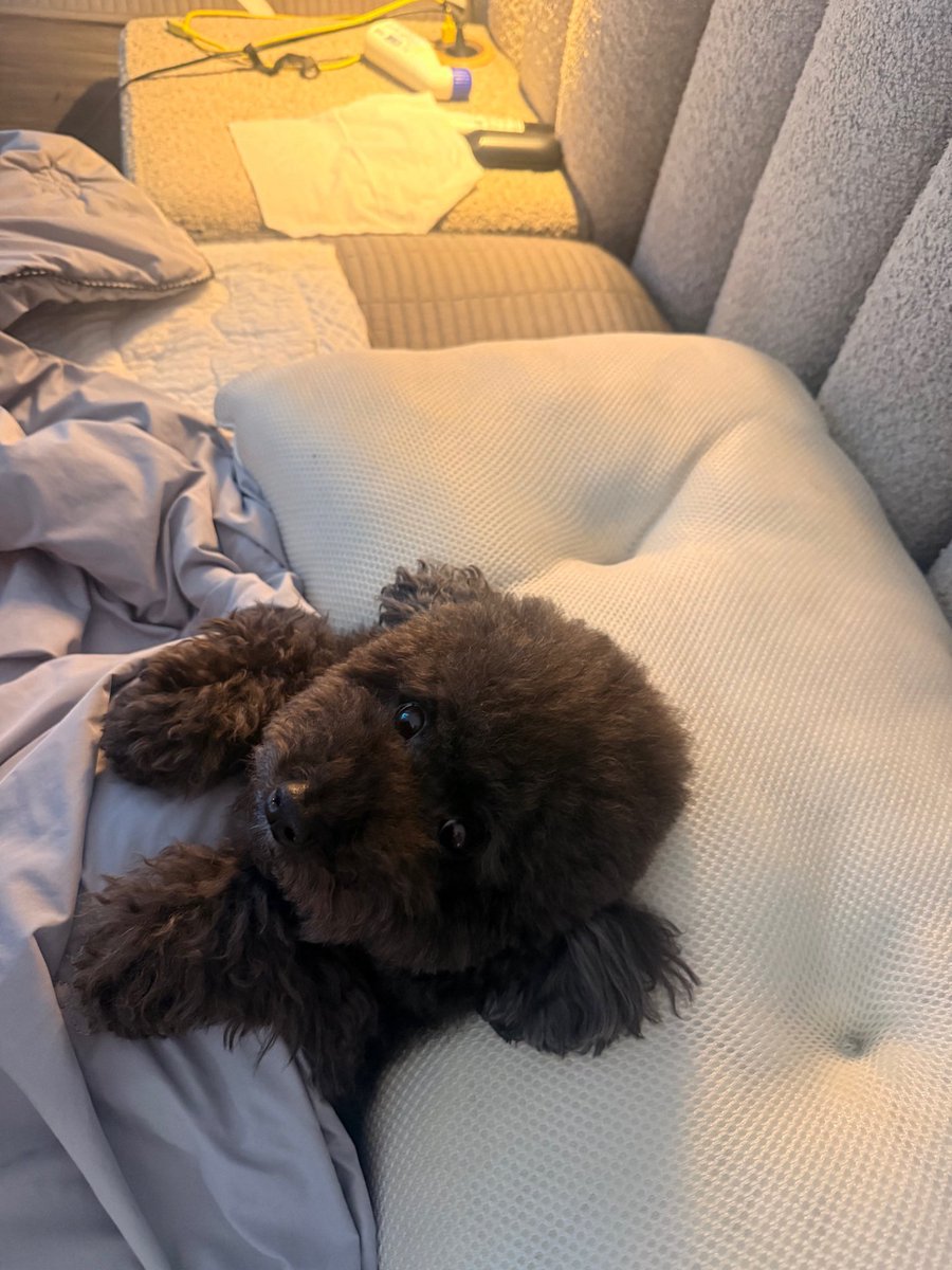 enmnmisy's tweet photo. 쳐다보는거진짜  미치겠네 하    저기요 님개맞죠 https://t.co/BsA3f9J2G1