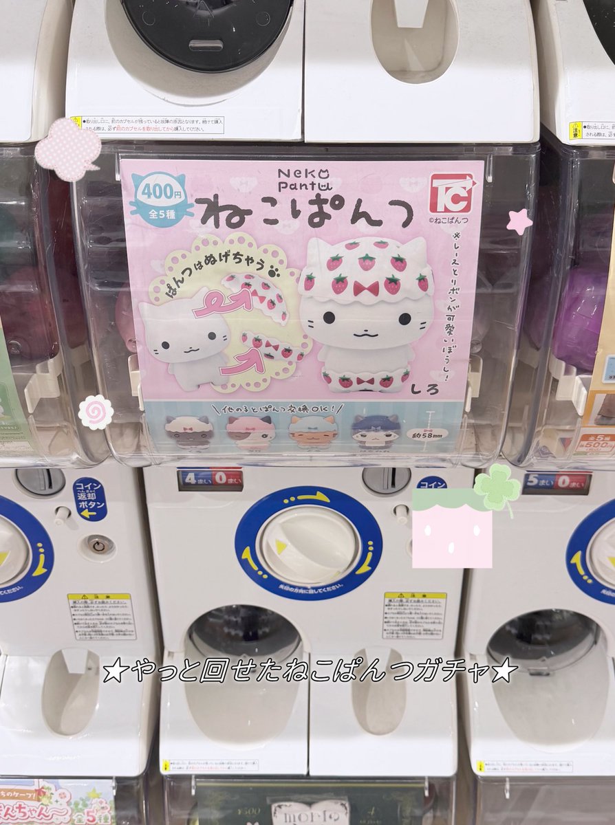_yokopii_'s tweet photo. ㅤ
私も今日やっと見つけて回せた 〜 🍓♡
ねこぱんつガチャ 無事コンプ ^⁃⩊⁃^💖
ㅤ https://t.co/0Ch03NRePE