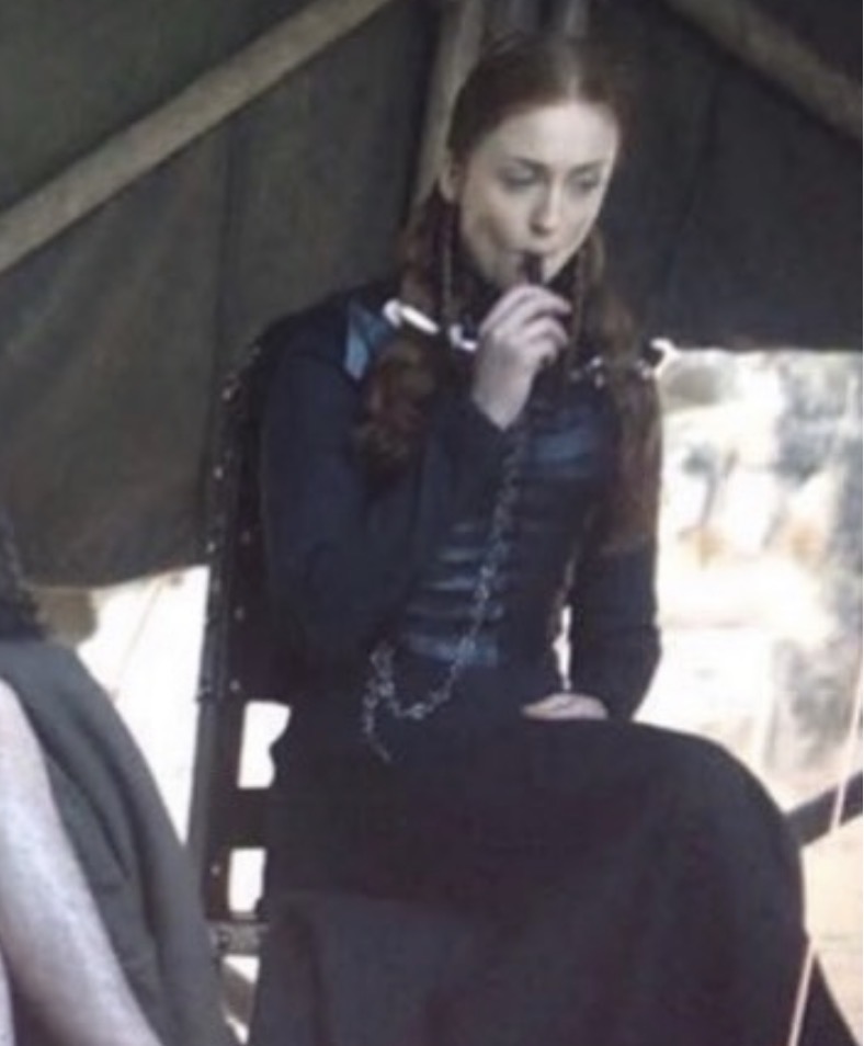 gonegirlfriend's tweet photo. the concept of sansa vaping https://t.co/7ZNyvEU6Vb
