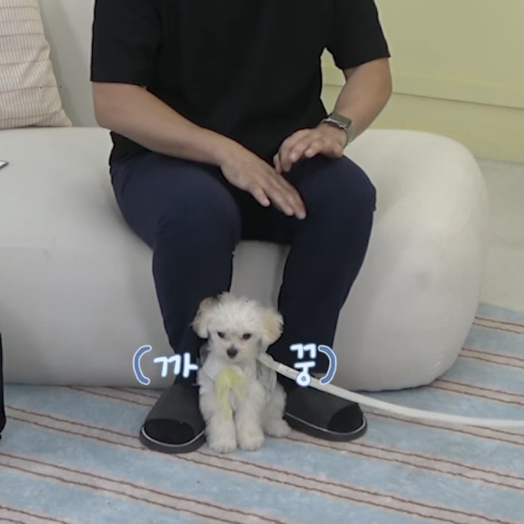 achminter's tweet photo. ตอนแรกก็กลัว แต่หลังจากเขาให้ขนมคือ 55555555 https://t.co/WZMIVg4RyN