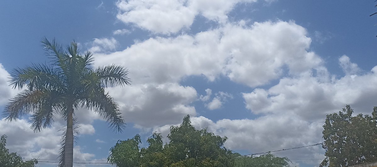 labritabel's tweet photo. @KriskaCarvalho Bom dia você é Luminosa!
 Uma foto do céu da minha terra Piauí cheia de Luz e calor. Que você passe por todas as etapas do seu tratamento e receba a cura que a Divina providência lhe trará no tempo certo. ☀️🌻🏜️ 🫶🏼 https://t.co/jW3hWy4klG