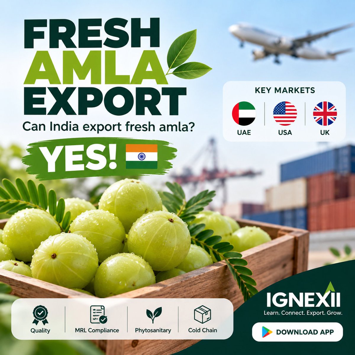 KDSushma's tweet photo. Can Fresh Amla be exported from India?
YES!
Fresh Amla has export potential in markets like 🇦🇪 UAE, 🇺🇸 USA &amp; 🇬🇧 UK
Key focus:
Quality &amp; grading
MRL compliance
Phytosanitary
Cold chain
Explore more export opportunities with IGNEXII
#AmlaExport #AgriExport #ExportFromIndia #IGNEXII https://t.co/gIkZtZPsze