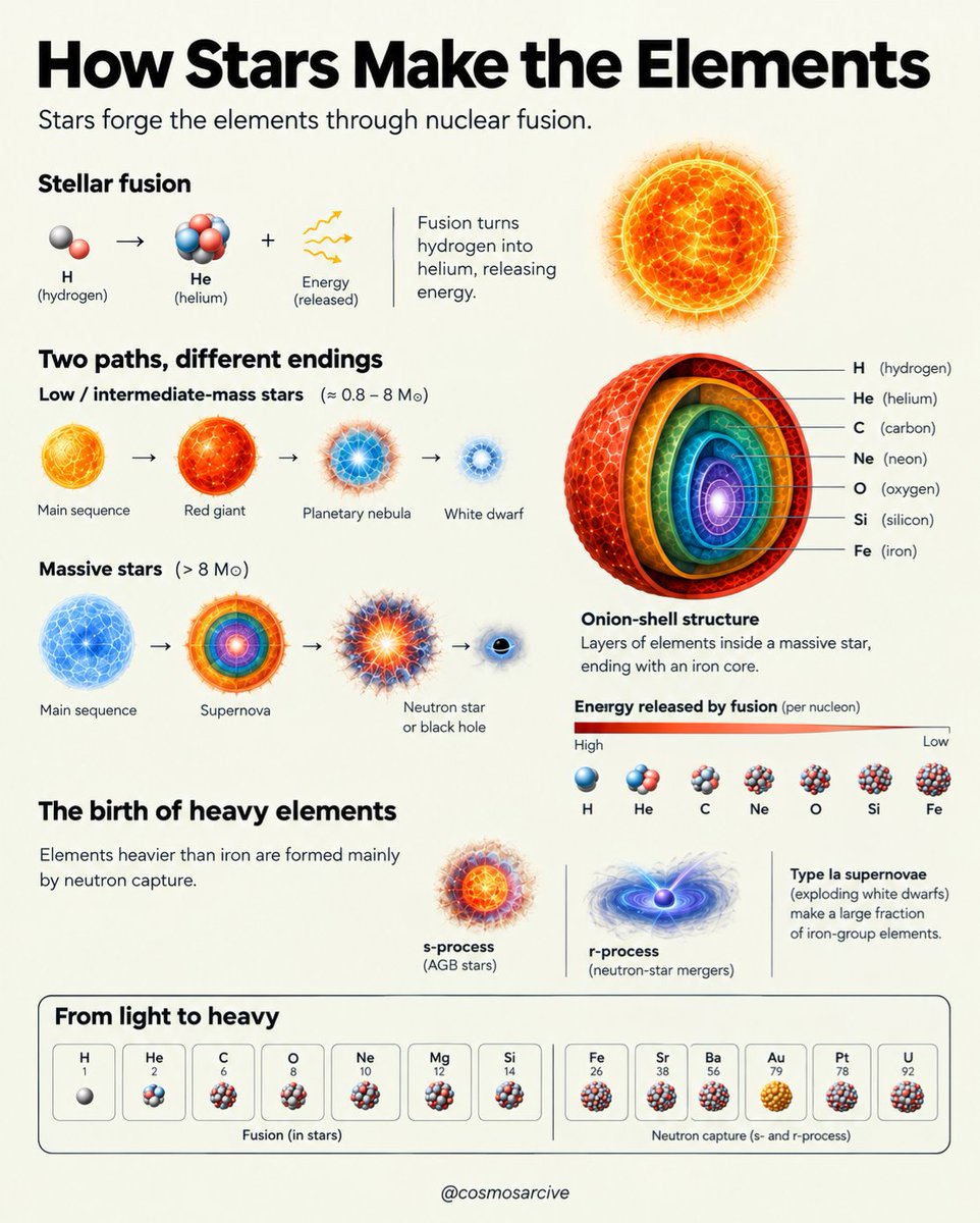 cosmosarcive's tweet photo. Stars are element factories, but fusion has a limit.

Hydrogen becomes helium, then carbon, oxygen, neon and silicon in increasingly massive stars. Fusion can build nuclei up to iron, where further fusion no longer releases energy. Heavier elements such as gold and uranium need neutron capture instead, through processes such as the s process and r process.

The iron in your blood and the heavier elements around us were made through these different cosmic processes. The periodic table is, in many ways, a record of stellar history.