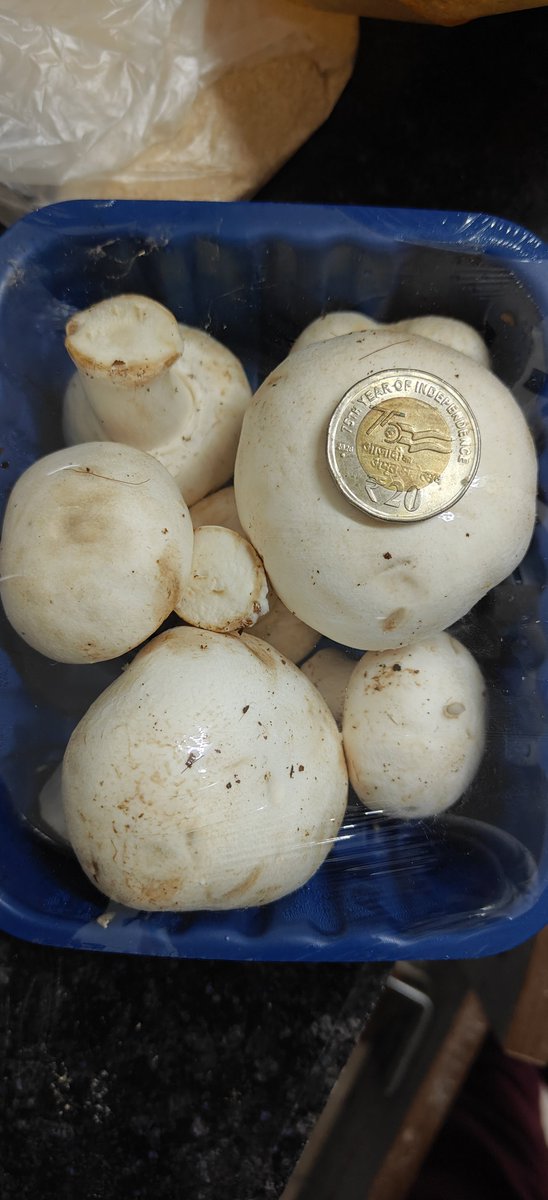Innukumar1's tweet photo. @blinkitcares @albinder @deepigoyal  Today 25.09.2026 , bhiwadi 301019 Blinkit store Delivered me overripe BUTTON mushroom equal to tennis ball size, bitter gourd delivered in very dirty and unhygienic condition. You peoples were incompetent.very cheep quality of rejected material delivered. https://t.co/ZDgIsRZ3Zl