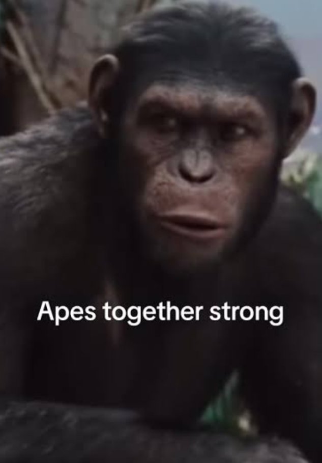 AderynSaurus's tweet photo. @Maussie822113 @deocole7 https://t.co/bcJQDd0bdD