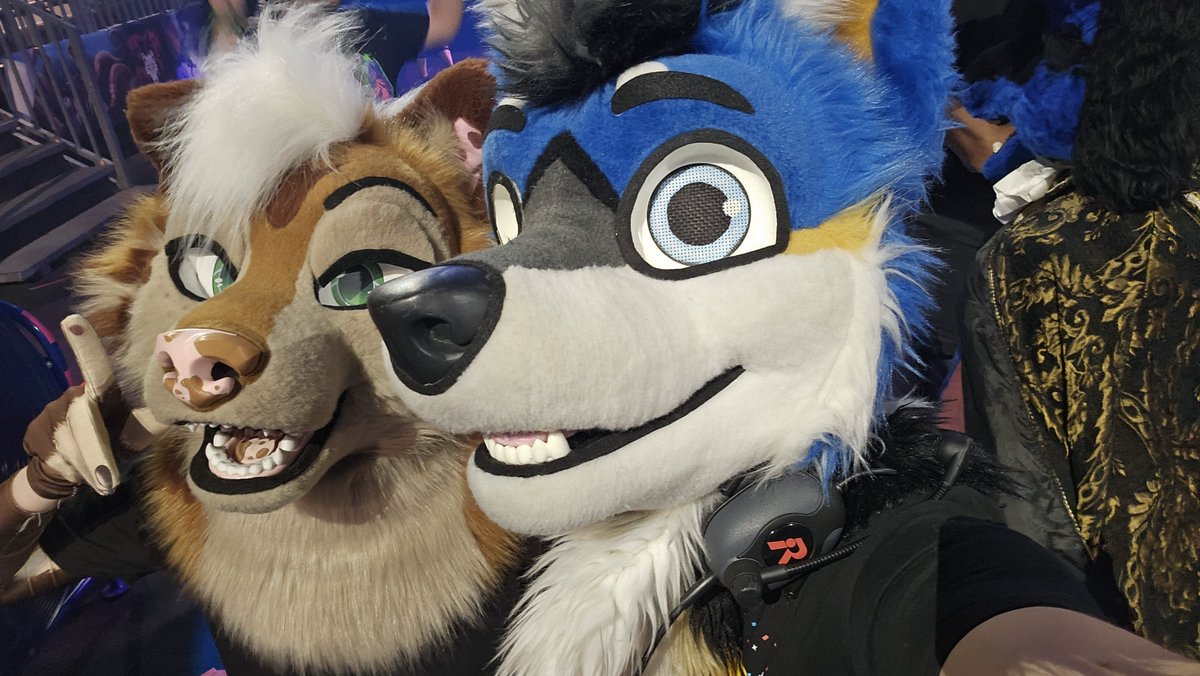 NexusJackal's tweet photo. Look, it's the dancing queen @kurasaiyaArt! 🪩 #FursuitFriday https://t.co/iUKC9Wc2Xr