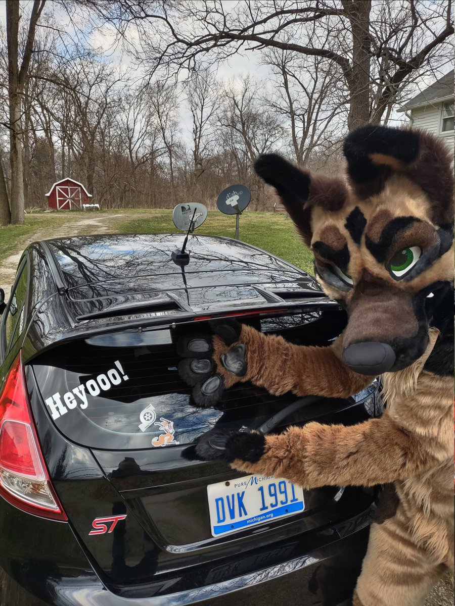 ZeusGShep's tweet photo. Happy #FursuitFriday
Stealing @Kitkitsune demon car.. cause thats what that thing is after all >;c for some joyrides around town~ https://t.co/INEL0RBio7
