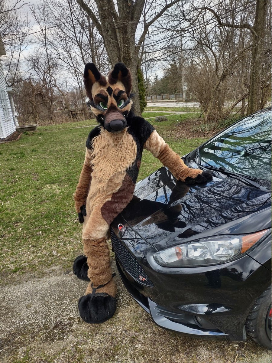 ZeusGShep's tweet photo. Happy #FursuitFriday
Stealing @Kitkitsune demon car.. cause thats what that thing is after all >;c for some joyrides around town~ https://t.co/INEL0RBio7