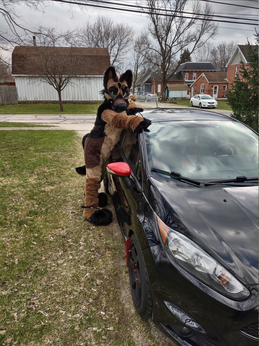 ZeusGShep's tweet photo. Happy #FursuitFriday
Stealing @Kitkitsune demon car.. cause thats what that thing is after all >;c for some joyrides around town~ https://t.co/INEL0RBio7