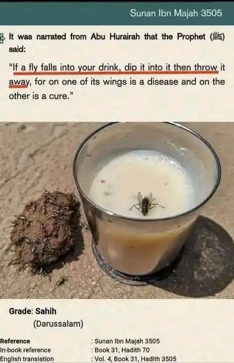 freethinkerag's tweet photo. @WordKombo Do you agree with this science in the Koran https://t.co/xmRdgEksFV