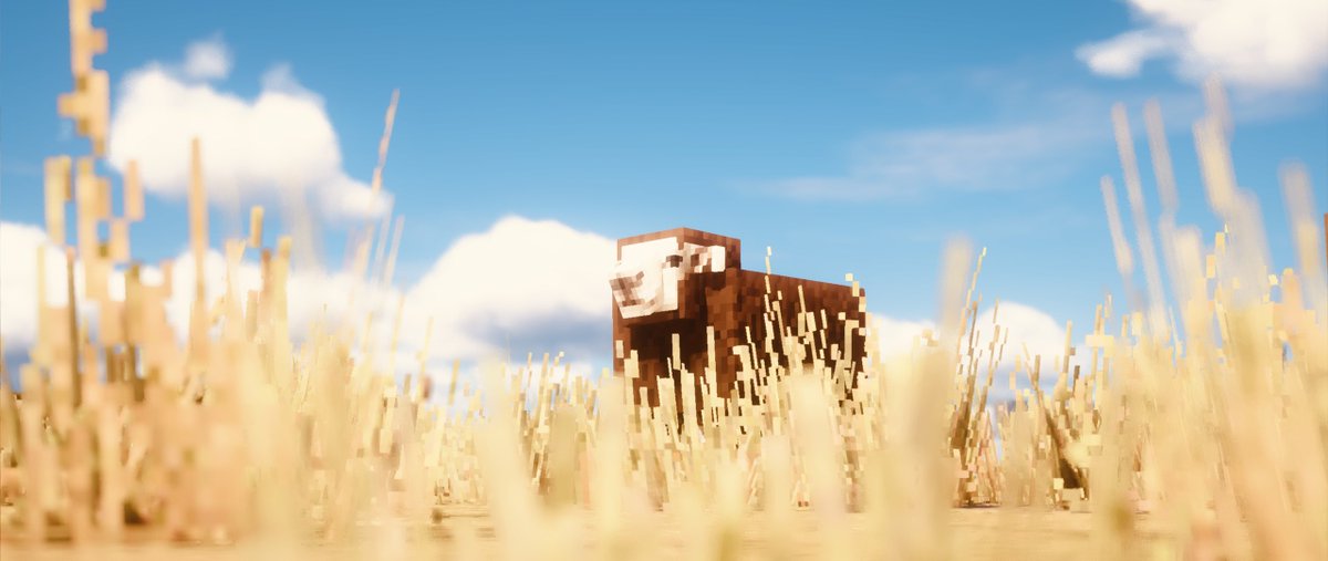 hashta_vp's tweet photo. Minecraft https://t.co/SfE3cwaGnx