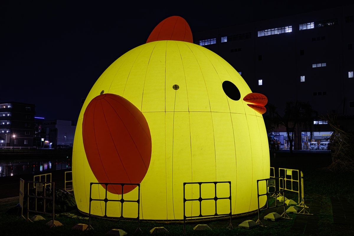 kawaiski's tweet photo. 中川運河堀止緑地で見ることができる「巨大ぴよりん」がライトアップされているので見に行ってきました。

#ぴよりん https://t.co/OOuXe9Aw9j