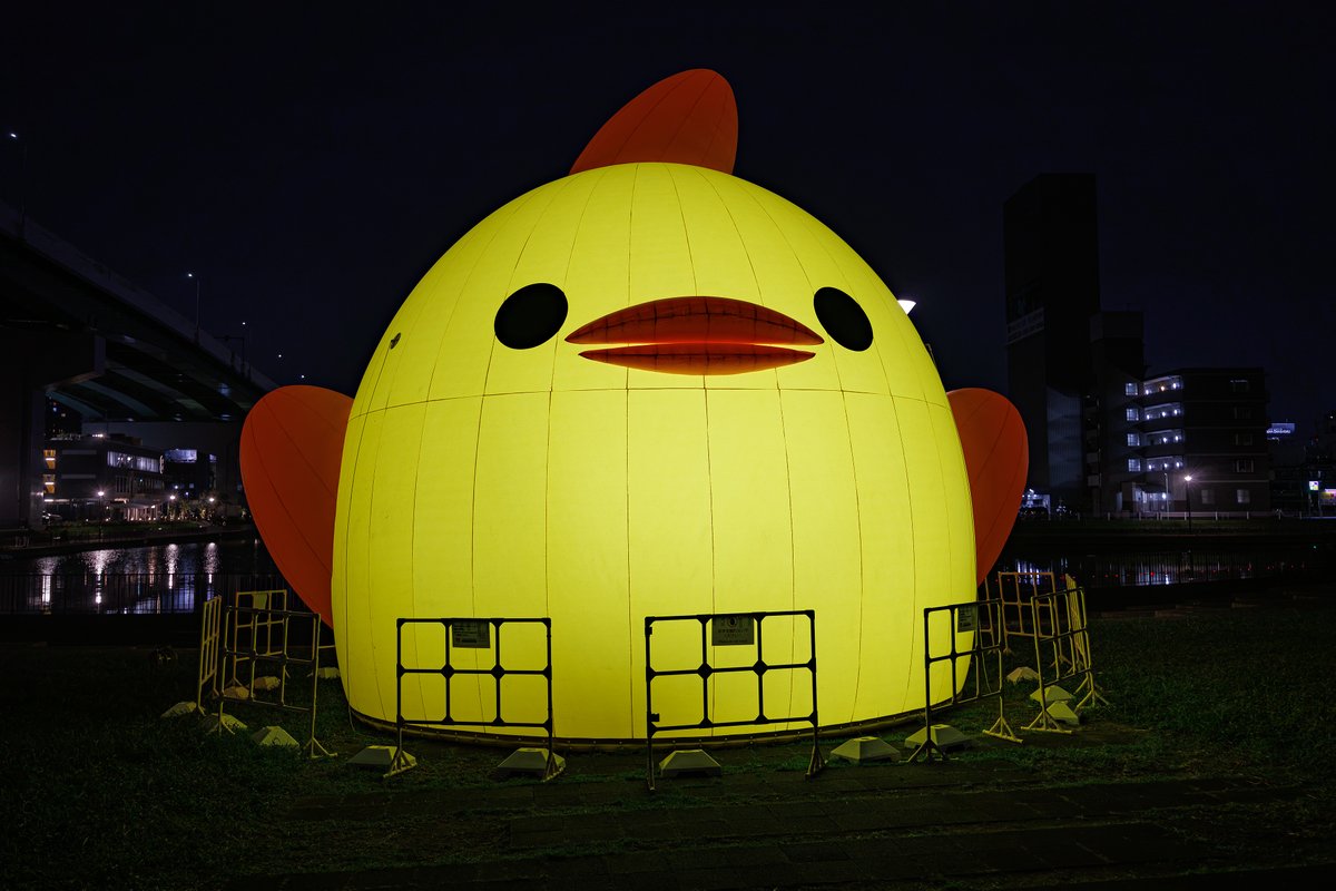 kawaiski's tweet photo. 中川運河堀止緑地で見ることができる「巨大ぴよりん」がライトアップされているので見に行ってきました。

#ぴよりん https://t.co/OOuXe9Aw9j