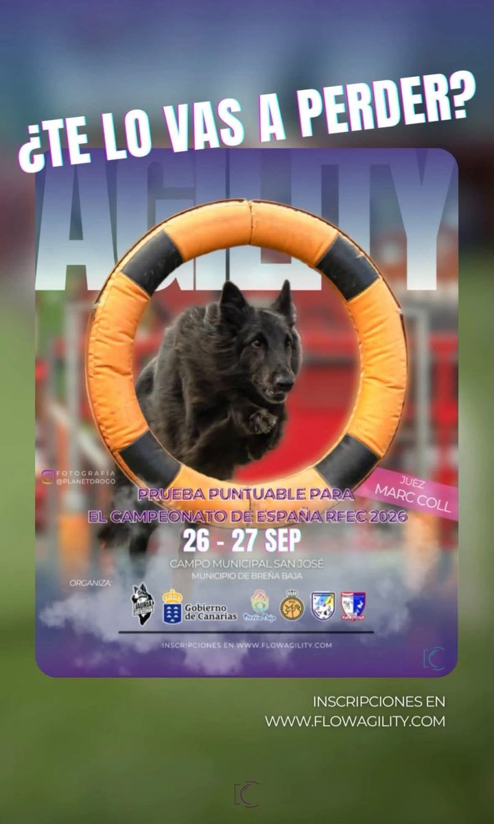 BorjaSenado's tweet photo. 🗓️ AGENDA DE EVENTOS DEL FIN DE SEMANA EN BREÑA BAJA💥

Llega el fin de semana cargado de deporte, tradiciones, naturaleza y cultura. ¡Toma nota y no te pierdas nada! 📌👇 https://t.co/5eEr0ZFXSU
