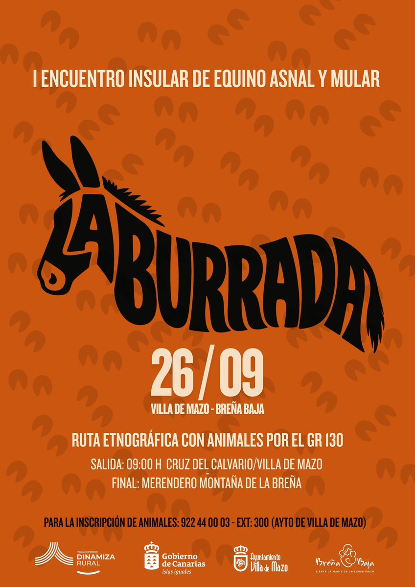 BorjaSenado's tweet photo. 🗓️ AGENDA DE EVENTOS DEL FIN DE SEMANA EN BREÑA BAJA💥

Llega el fin de semana cargado de deporte, tradiciones, naturaleza y cultura. ¡Toma nota y no te pierdas nada! 📌👇 https://t.co/5eEr0ZFXSU