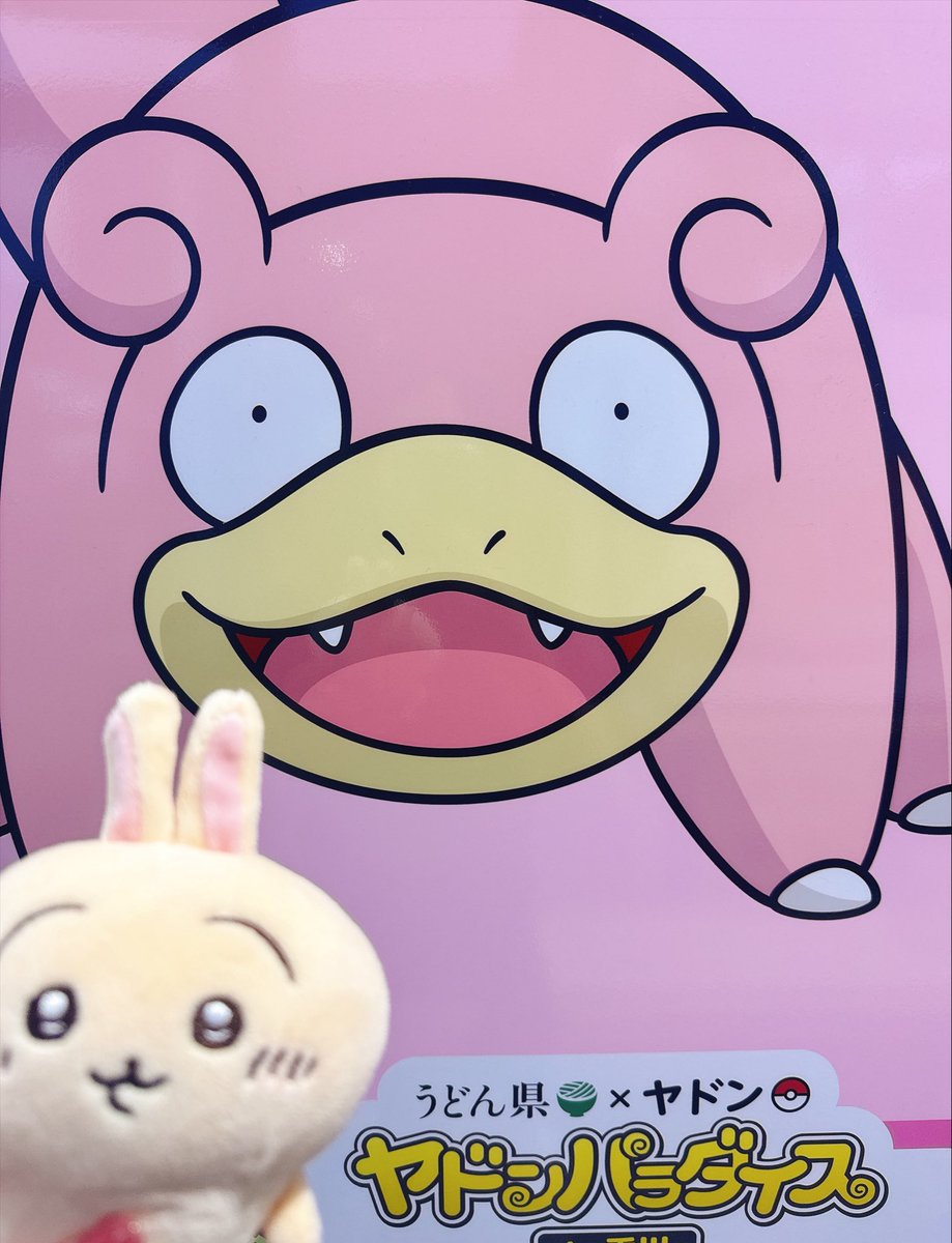 unchi_br's tweet photo. 初めてのぬい活旅 https://t.co/KFUkIqatXF